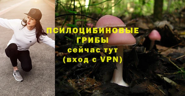 ALPHA-PVP Аркадак