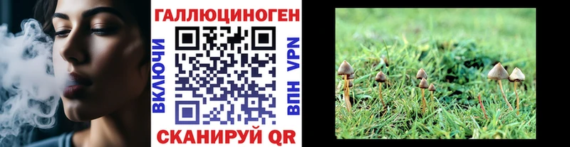 Галлюциногенные грибы мухоморы Солигалич